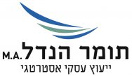 תומר הנדל | יעוץ עסקי אסטרטגי